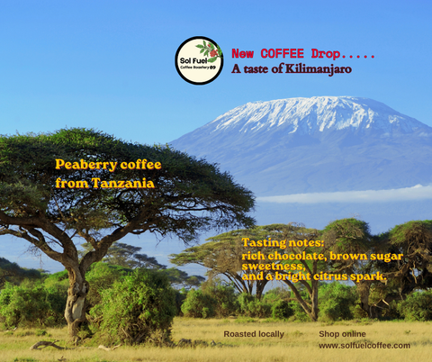 Image of Kilimanjaro mountain with African trees